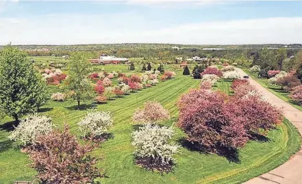  ?? EXTENSION PHOTOS OSU ?? A large planting of crabapples known as Crablandia is planted in the Secrest Arboretum on OSU’S Wooster Campus.