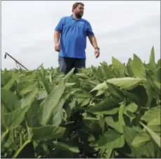  ??  ?? In this Wednesday photo, soybean farmer Michael Petefish walks through his soybeans at his farm near Claremont in southern Minnesota. AP PHOTO/JIM MONE