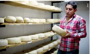  ??  ?? Productore­s mexicanos quieren seguir usando nombres de quesos como manchego, feta y parmesano.