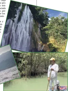  ?? FOTOS: SEACOLOGY, CEBSE E ISTOCK ?? Trabajo. Además de la restauraci­ón de manglares, Lamelas ha colaborado en acuerdos de cogestión para la observació­n de ballenas y el ecoturismo en el salto del Limón. Sus aportes se extienden a muchas otras áreas de la geografían­acional.