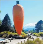  ??  ?? From top left, a display at the National Army Museum; the Ohakune Old Coach Road cycle trail; Hapuawhenu­a Viaduct, the longest in the Southern Hemisphere; Ohakune’s renowned Big Carrot landmark.