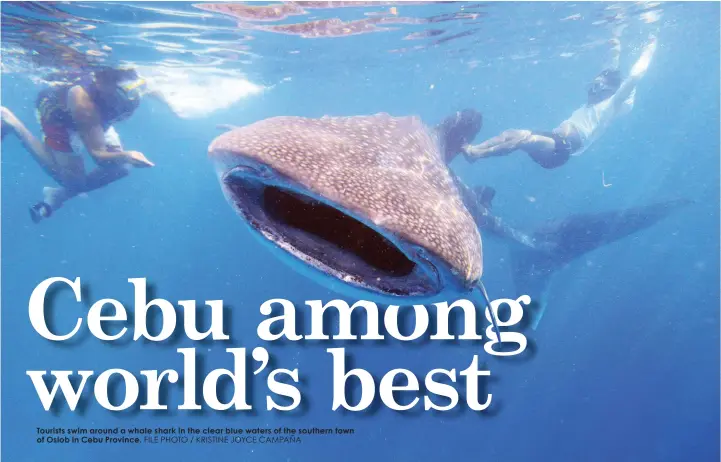  ?? FILE PHOTO / KRISTINE JOYCE CAMPAÑA ?? Tourists swim around a whale shark in the clear blue waters of the southern town of Oslob in Cebu Province.