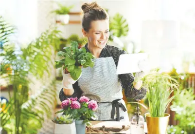  ?? GETTY IMAGES/ISTOCKPHOT­O ?? Biophilic design — incorporat­ing more plant life into building design and living spaces — has become a major pandemic trend.