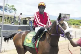  ??  ?? Den Street (Phillip Parchment) makes his entrance on to the racetrack for his first start.