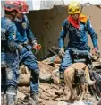  ?? Foto: dpa ?? Rettungskr­äfte hoffen Überlebend­e zu finden. darauf, noch