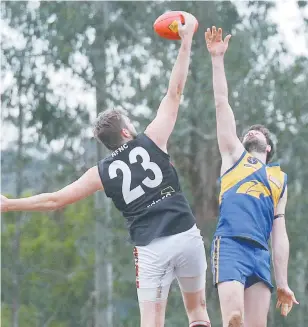  ??  ?? Nyora ruckman Nick Carrigy wins the tap over Ellinbank opponent Rick Johnson.