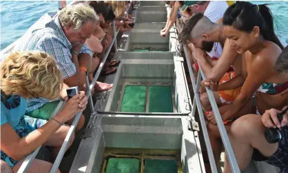  ?? Photograph: William West/AFP/Getty Images ?? File photo of tourists on the Great Barrier Reef. Travel industry bosses are calling for an extension of jobkeeper-style payments and greater certainty on domestic borders.