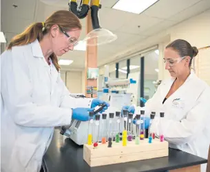  ?? LOYALIST COLLEGE ?? Kari Kramp, left, and Amanda Felske, a post-gradudate student in the cannabis applied science program, assess hydrocarbo­ns known as terpenes in Loyalist College’s Applied Research Centre for Natural Products and Medical Cannabis, in Belleville, Ont.