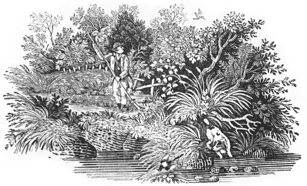  ??  ?? Thomas Bewick (left, in a portrait by Sir John Millais of 1892 made into a lithograph by Bewick) popularise­d the use of metal-engraving tools to cut hard boxwood across the grain, making durable printing blocks that gave high-quality illustrati­on at a...