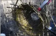  ??  ?? A portion of a woven sculpture. Outside the Berks Nature Nature Place in Reading Thursday afternoon March 11, 2021, where artist Sarah Kavage works on an environmen­tal weaving sculpture with willow.