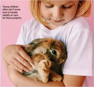  ?? ?? Young children often don’t know how to handle rabbits or care for them properly