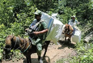  ?? /Reuters ?? Horse mail: Officers on horseback transport ballot boxes to polling stations ahead of Wednesday’s Indonesian presidenti­al election, in the Meru Betiri National Park area, near Jember, East Java, on Tuesday.