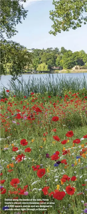  ??  ?? Dotted along the banks of the lake, Hever Castle’s vibrant micro-meadows cover an area of 4,500 square metres and are designed to provide colour right through to October