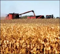  ?? AP/Aberdeen American News/JOHN DAVIS ?? Corn flows from a combine into a grain wagon as harvest workers move through a cornfield on a farm in Aberdeen, S.D., in early October.