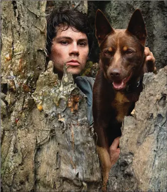  ??  ?? Apocalypse survivor Joel (Dylan O’Brien) leaves the safety of his undergroun­d colony and sets off with his new friend Boy (Hero, an Australian Kelpie) to find his old high school girlfriend in “Love and Monsters.”