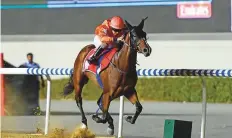  ?? Virendra Saklani/Gulf News ?? Walking Thunder, ridden by jockey Connor Beasley, won at Meydan Racecourse last week. Phoenix Ladies Syndicate will be hoping Superior can follow suit tonight.