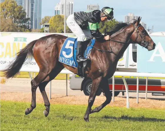  ?? Picture: MIKE BATTERHAM ?? Coolmore Stud Stakes hope Sesar after winning the Group 3 Ken Russell Memorial Classic at the Gold Coast in May.