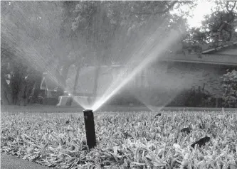  ?? Billy Calzada/staff photograph­er ?? It’s February, but it feels like spring. Warm weather and high water usage are leading to worrying Edwards Aquifer levels. Many San Antonians are conserving water, but not all.