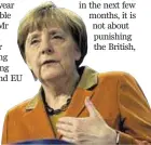  ??  ?? Angela Merkel is tipped to be replaced as party leader by Mr McAllister