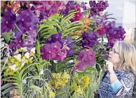  ?? MELANIE BELL / THE PALM BEACH POST ?? The Gardens Green Market takes place on Sundays from 8 a.m. to 1 p.m. at Palm Beach Gardens City Hall Municipal Complex. The Green Market will have a celebratio­n for its 15th anniversar­y this Sunday.