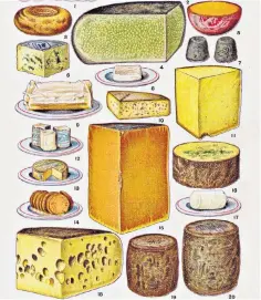  ?? ?? Say cheese: an illustrati­on from Mrs Beeton’s Book of Household Management