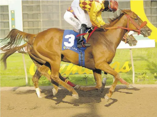  ?? (Photos: Garfield Robinson) ?? Formal Fashion (#3 Robert Halledeen) nips Deep Blue Sea (Raddesh Roman) in the glass.