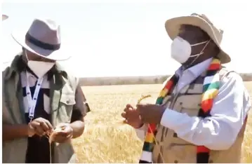  ?? ARDA’S Bubi-Lupane Irrigation Scheme where he launched ?? President Mnangagwa speaks on planning and vision at the Vision 2030 Accelerato­r Irrigation Model