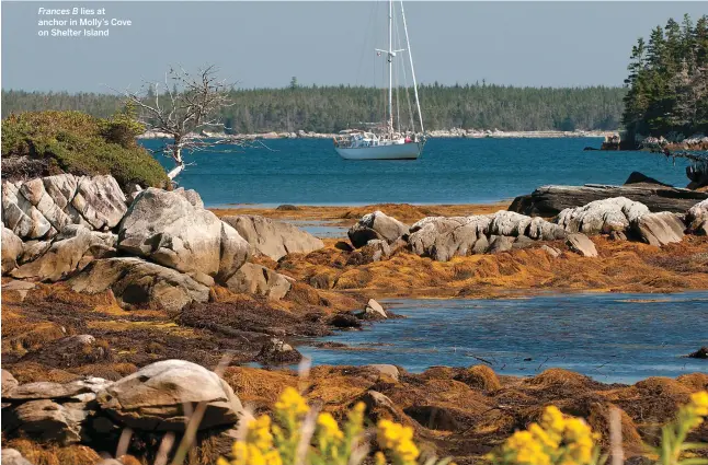  ??  ?? Frances B lies at anchor in Molly’s Cove on Shelter Island