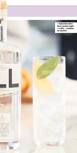  ??  ?? Salcombe Gin’s New London Light – or NLL – contains no alcohol