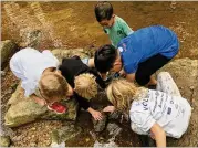  ?? COURTESY ?? Kids explore Burnt Fork Creek in Mason Mill Park during a DeKalb Junior Ranger activity. “Mason Mill Park has 100 acres of forest,” naturalist Jonah McDonald says.