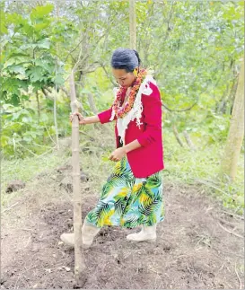  ?? Picture: SUSANNAH HODSON ?? Ana Malumuvatu has plans to set up a commercial kitchen to increase her product line of kava infused confection­ery and baked
goods.