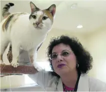  ??  ?? Dr Muller says some people are very willing to take on damaged pets.