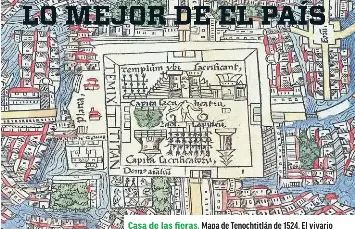 Tenia Moctezuma Un Zoo Pressreader