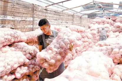  ??  ?? China ostenta el primer lugar en producción del bulbo, México tiene la posición 14.