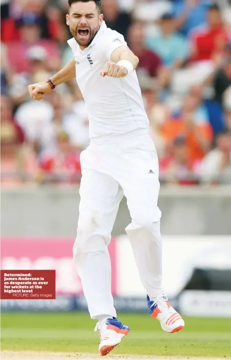  ?? PICTURE: Getty Images ?? Determined: James Anderson is as desperate as ever for wickets at the highest level