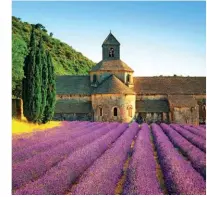  ??  ?? From top: The charming southern village of Aurel overlooks a lavender field. The medieval coastal village of Antibes on the French Riviera. Abbaye Notre-Dame de Sénanque, a Cistercian abbey in Provence