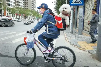  ?? WU JUN / FOR CHINA DAILY ?? A woman rides her bike with a dog in her backpack in Xi’an, Shaanxi province, on Thursday.