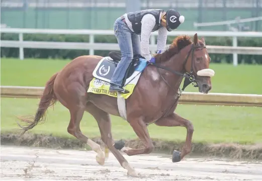  ??  ?? Kentucky Derby entry Finnick the Fierce takes part in a workout Wednesday at Churchill Downs. He drew the No. 1 post position for the race Saturday.