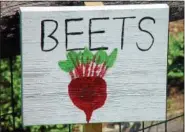  ?? EMILY RYAN — FOR DIGITAL FIRST MEDIA ?? A hand-painted sign marks a bed of beets.