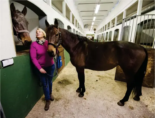  ?? Bild: ROGER LARSSON ?? FRISKA HÄSTAR. Sportchef Emma Rosenqvist på Mickedala ridhus har lärt sig hur hästarna ska skyddas mot kvarka.