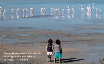  ??  ?? Two children stand and watch flamingos at a salt lake in Larnaca. — Ti Gong