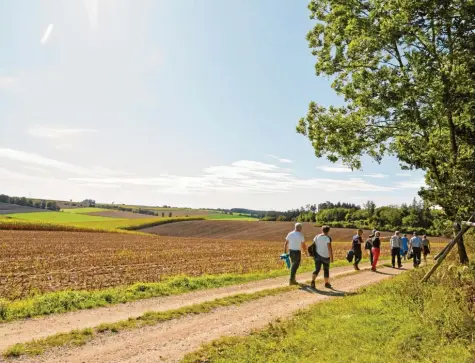  ?? Fotos: Brigitte Bunk ?? Über Feld- und Waldwege, am Wald entlang oder mitten durch führt ein Großteil des Drei-Täler-Blick-Weges in Binswangen, hier mit dem Blick in Richtung Zusamalthe­im.