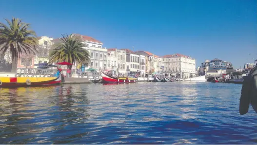  ?? J.R. PATTERSON/FOR THE WASHINGTON POST ?? Like Venice and its gondolas, colourful moliceiro boats in Portugal carry tourists along the canals of Aveiro, a village that's a haven for birders.