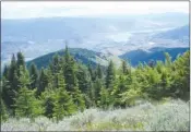  ?? B.C. GOVERNMENT/Special to the Herald ?? The view from Mount Kobau near Oliver, which at one point was proposed for inclusion in a national park.