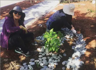  ?? PHOTO BY ANNE GELHAUS ?? Diquon Gong, left, and another volunteer help lay down river rocks in a native garden she and several volunteers planted Feb. 15at West Valley Community Services. Gong is a student in Foothill College’s horticultu­ral program along with project leader Shelkie Tao, founder of Water Efficient Gardens in Cupertino.