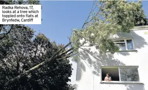  ??  ?? Radka Rehova, 17, looks at a tree which toppled onto flats at Brynfedw, Cardiff