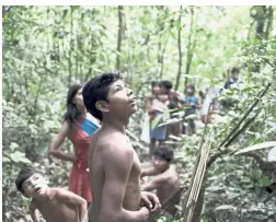  ??  ?? Vulnerable: The livelihood and survival of many of the world’s indigenous communitie­s like Brazil’s Awa Indians are under threat with the encroachin­g developmen­t of theiir anscestral land. - AP