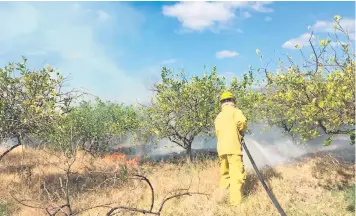  ??  ?? Los incendios en zacateras y los forestales disminuyer­on en comparació­n a los ocurridos en 2017.