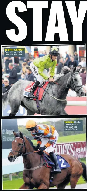  ??  ?? IN WITH A SHOUT Buzz is two from two over hurdles
TUCK IN Master Tommytucke­r can land the Pendil Chase