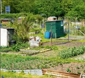  ??  ?? La France compte aujourd’hui 7 millions de jardins communauta­ires ou partagés et un français sur dix possède un poulailler.